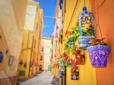 Close up of colourful decorated plant pots hanging on wall along yellow and orange painted alleyway, Sardinia, Italy